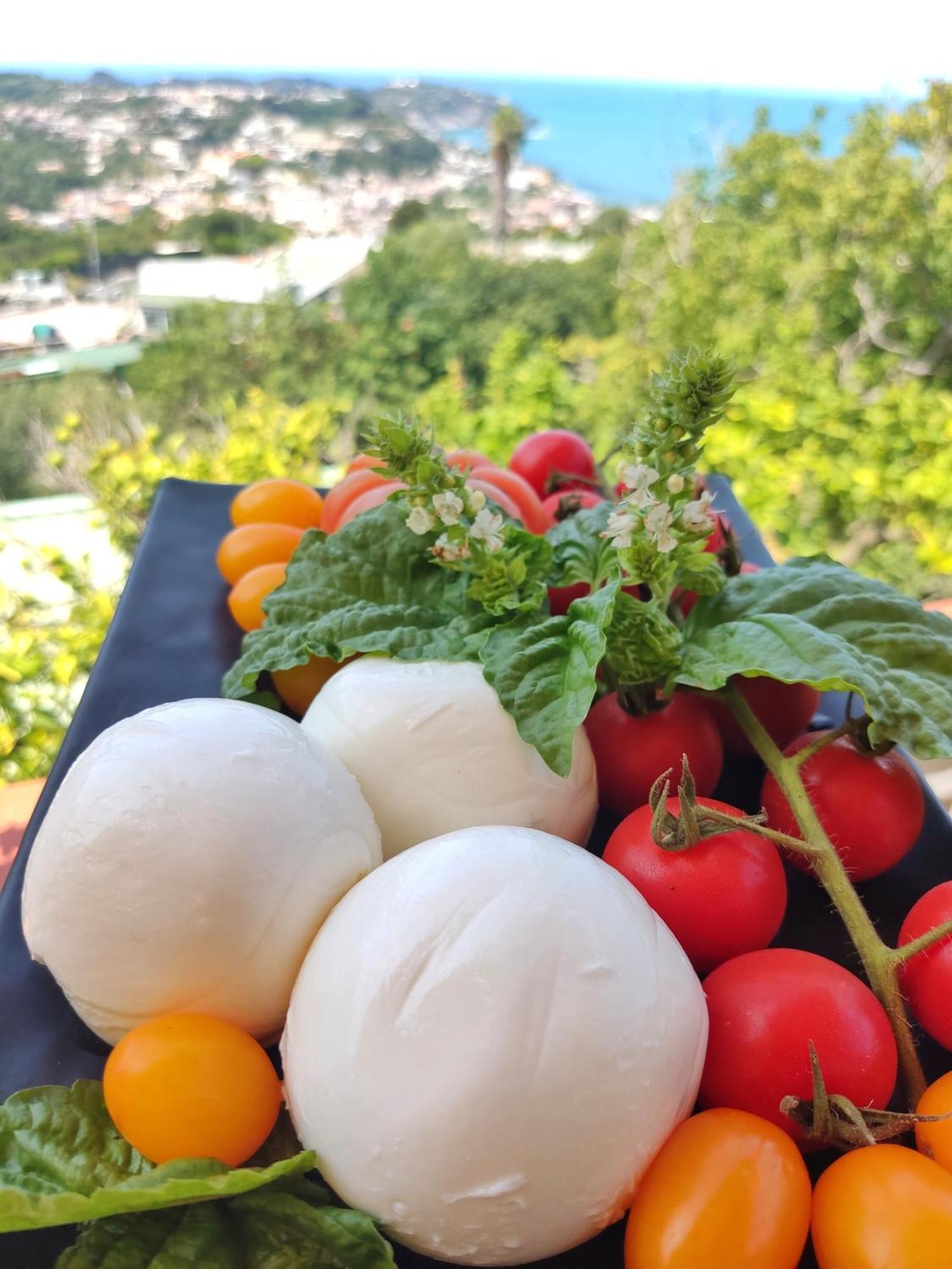 Hotel Ape Regina Casamicciola Terme Zewnętrze zdjęcie
